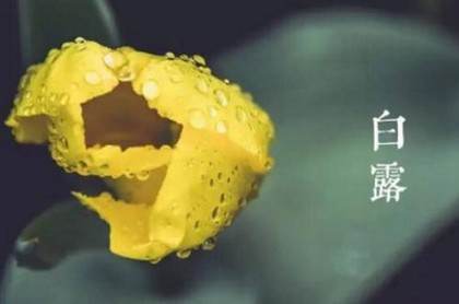 八字相的信息是什么,八字是哪八字
