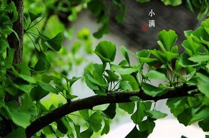 吉凶各年四四存解意思,二十四山方位吉凶详解