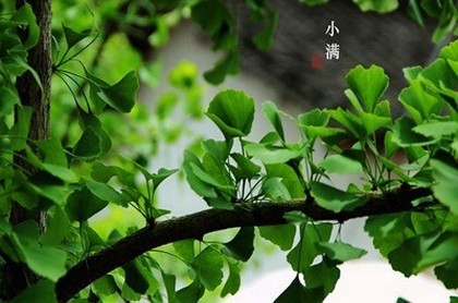 吉凶各年四四存解意思,二十四山方位吉凶详解