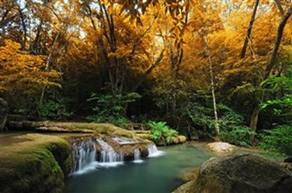 八字过弱八字喜土,五行水旺土弱是什么命