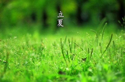 狡猾的风水相师未删,风水相师主角龙生下载