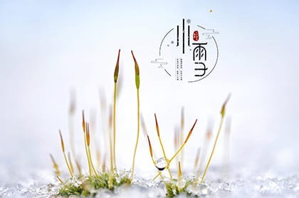白羊男与水瓶女的婚姻,白羊男是水瓶女的真爱