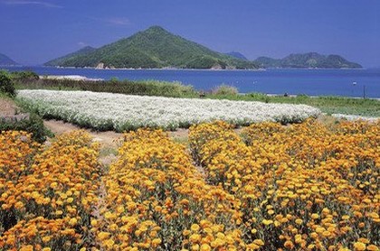 周易测字算婚姻,测八字算命