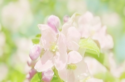 六爻大师兄,六爻严争鸣第一次