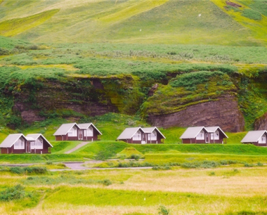 属牛金牛座2024年运势· 2024年生肖运程怎么样？