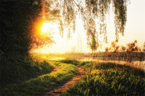 属虎天秤座2024年运势· 2024年生肖运程怎么样？