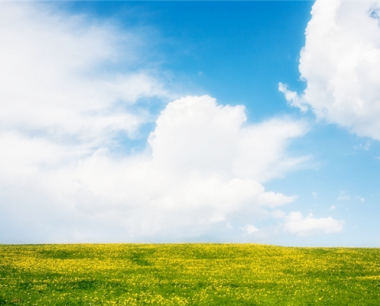 属兔金牛座2024年运势· 2024年生肖运程怎么样?