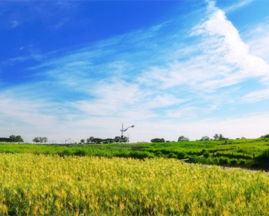 属龙金牛座2024年运势· 2024年生肖运程怎么样?