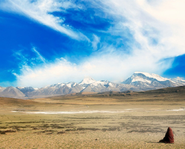 属蛇金牛座2024年运势· 2024年生肖运程怎么样?