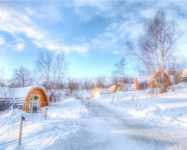 属马金牛座2024年运势· 2024年生肖运程怎么样?