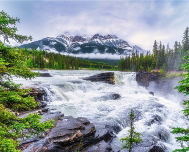 属羊金牛座2024年运势· 2024年生肖运程怎么样?