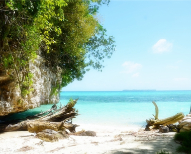 属猴金牛座2024年运势· 2024年生肖运程怎么样?