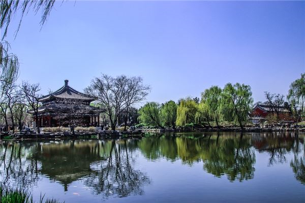 属猪狮子座2024年运势· 2024年生肖运程怎么样？