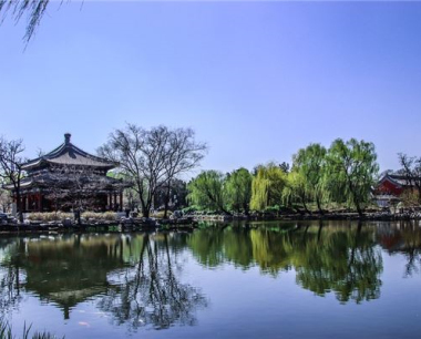 属猪狮子座2024年运势· 2024年生肖运程怎么样？