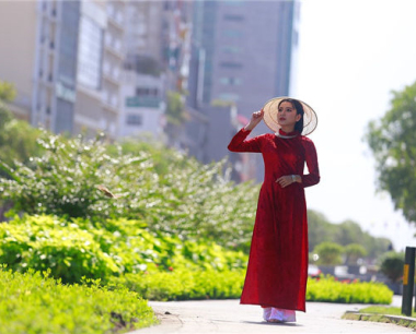 属兔的和什么属相不合