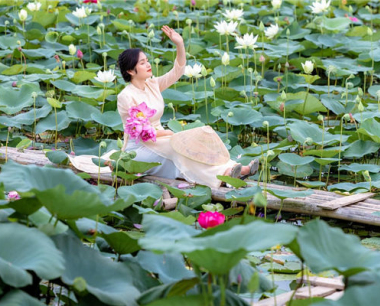 属兔的戴翡翠好不好 为什么属兔的人不能戴貔貅