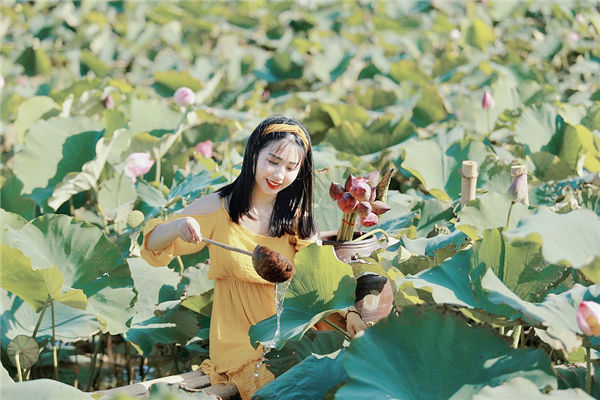 属兔人最致命的缺点