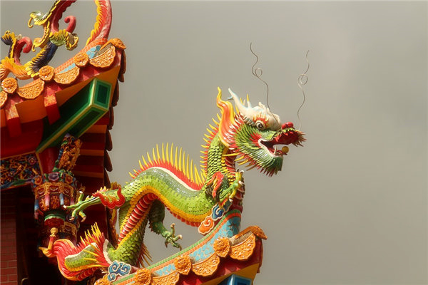 生肖龙婚姻运势如何发展？