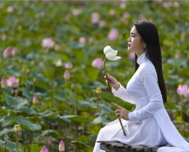 属蛇犯冲的四个属相