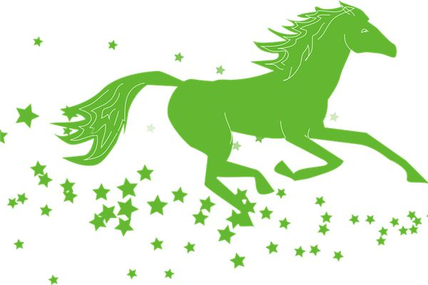2024年属马的大灾之年赚钱渠道增多？