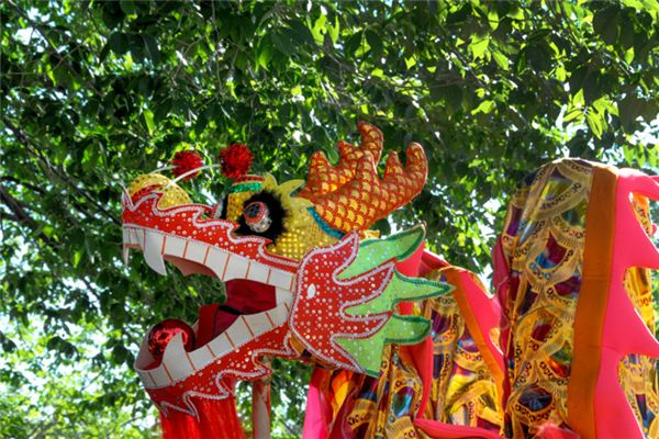 属龙的出生年份和五行