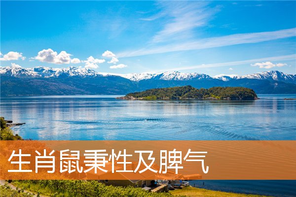 生肖鼠秉性及脾气