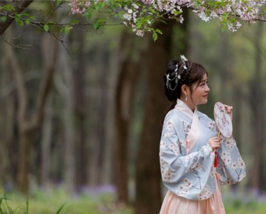 1980属猴2024年幸运色，80年猴24年偏爱红色