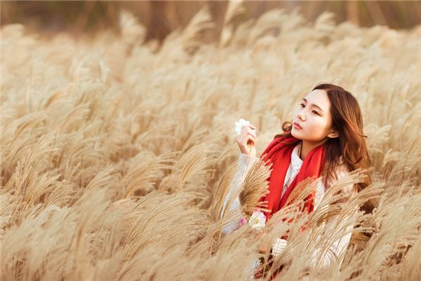 属鸡人做什么行业发财