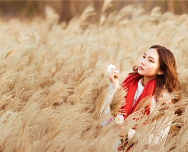 属鸡人做什么行业发财