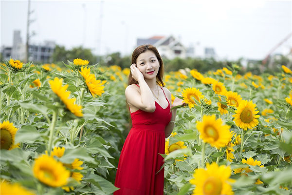 属猪人做什么行业发财