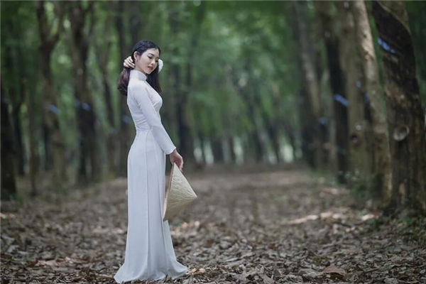 2024年属猪的人适合领证结婚吗