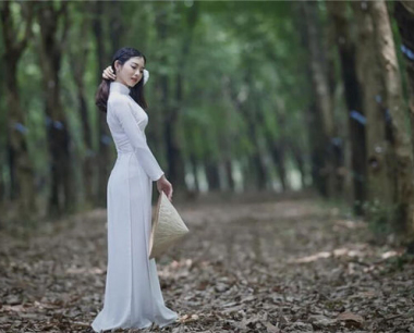 2024年属猪的人适合领证结婚吗