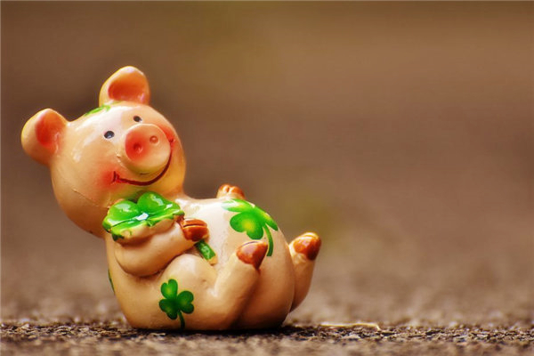 属猪本年带啥吉祥物，属猪人一生佩戴什么吉祥物