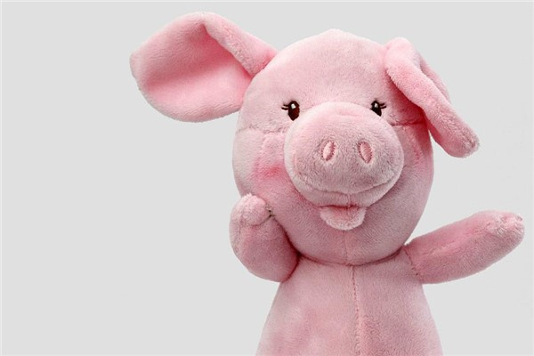 属猪人2024年有犯太岁吗？今年运势如何