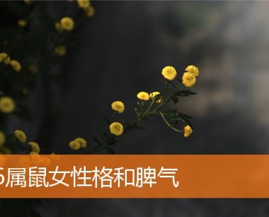 96属鼠女性格和脾气