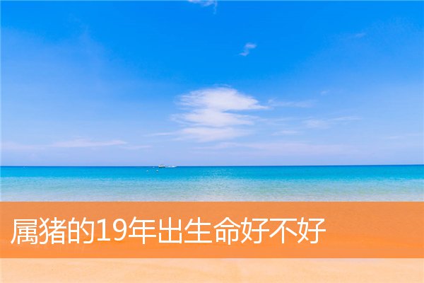 属猪的19年出生命好不好