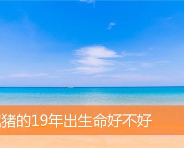 属猪的19年出生命好不好