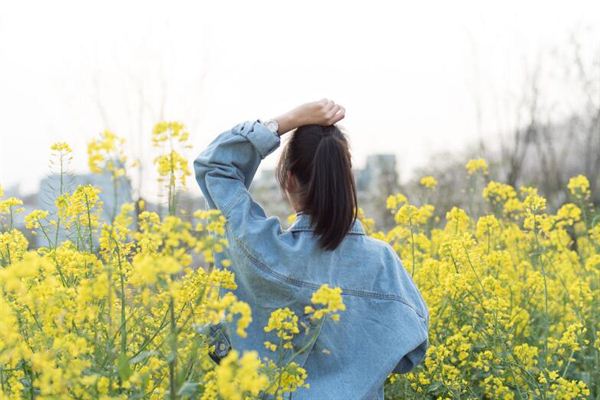 牛六个合生肖是什么