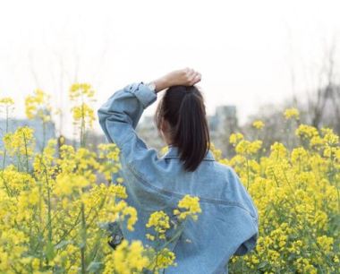 牛六个合生肖是什么