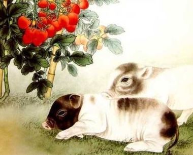 属猪的出生时辰与属相命运