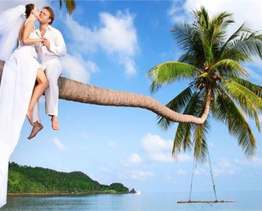 属虎的人命运与婚姻