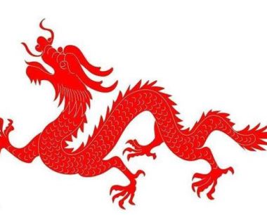 亥时出生的属龙人命运