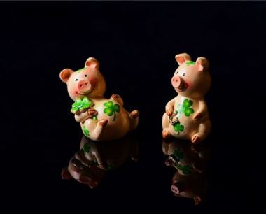属猪与什么属相配对