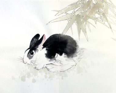 兔年出生的人是什么命