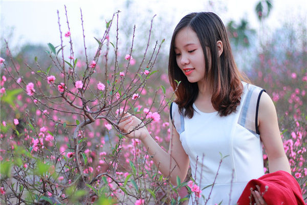 02年属什么的生肖