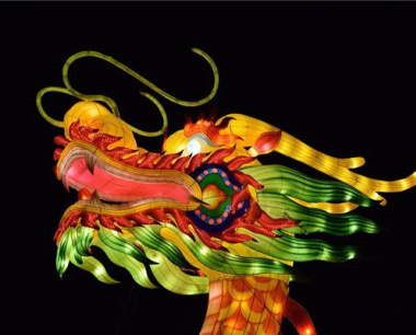 属龙的人2024年运势及运程