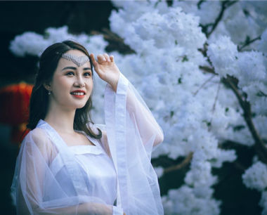生肖狗在2024年的财运