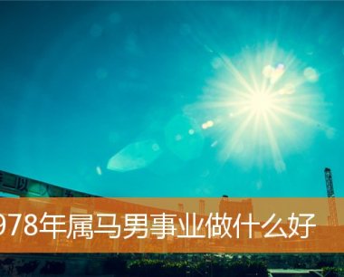 1978年属马男事业做什么好
