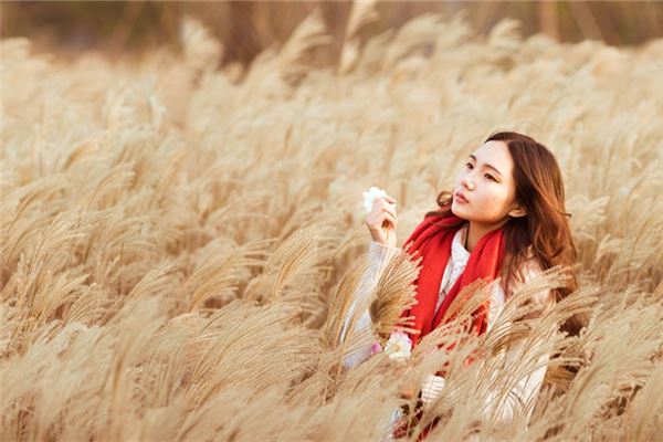 2020年生肖牛需要提防什么