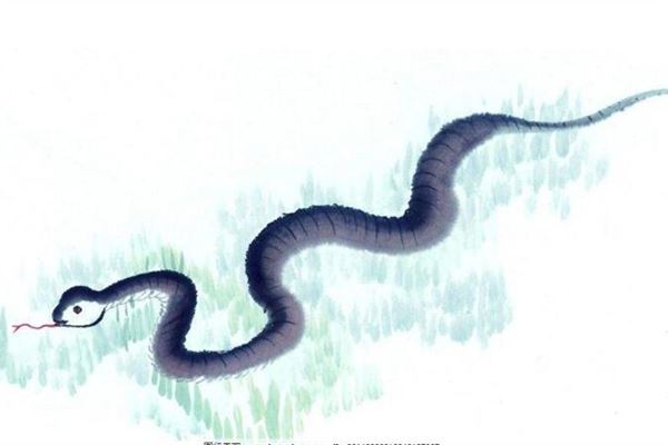 蛇年生宝宝好吗